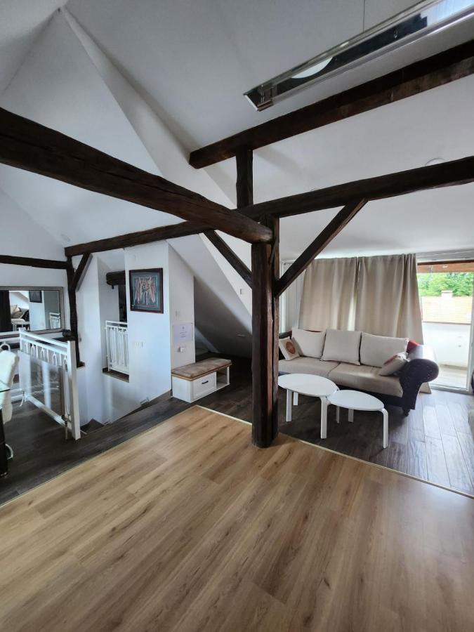 Appartamento Apartman Buzanova 001 Zagabria Esterno foto