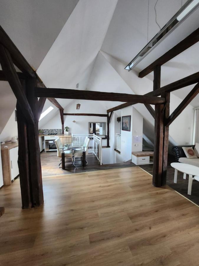 Appartamento Apartman Buzanova 001 Zagabria Esterno foto
