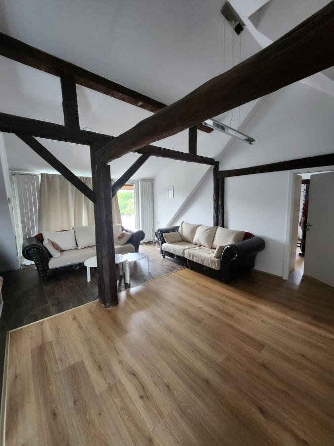 Appartamento Apartman Buzanova 001 Zagabria Esterno foto