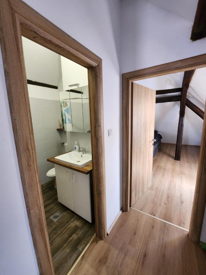 Appartamento Apartman Buzanova 001 Zagabria Esterno foto